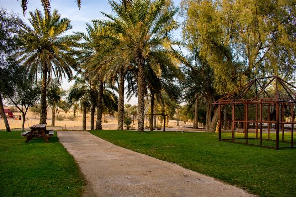 oferte vacanţe și sejur in Sharjah